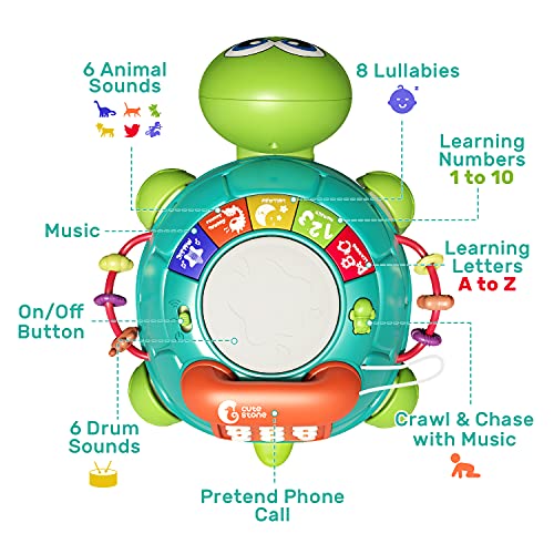 Baby Toys 12-18 Months Dancing Cat Toys for 1 Year Old Boys Girls with  Music & Recording Kids Interactive Early Learning Educational Toddler Toys  for